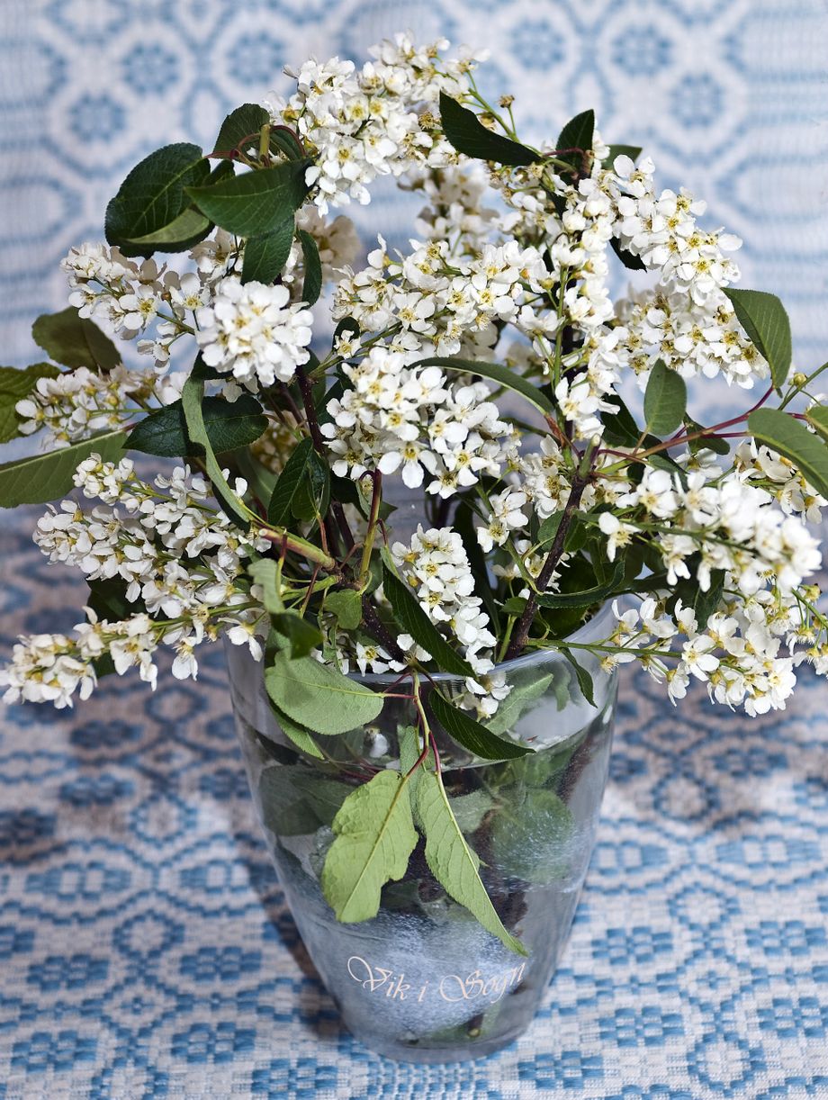 Hegg på vevd løper -  Chokecherry on woven runner
Foto-