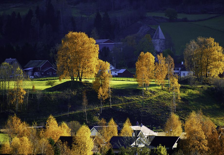 Haust trær - Autumn trees ( Hove stone church in the background
Foto-
