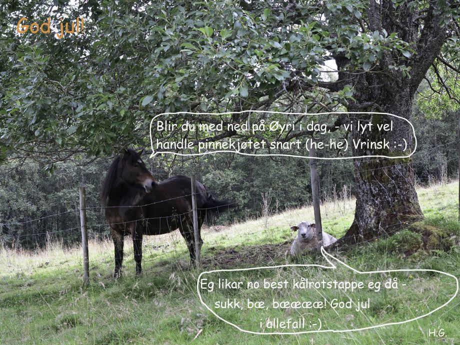 Prat før jul :) - Conversation before Christmas :)
