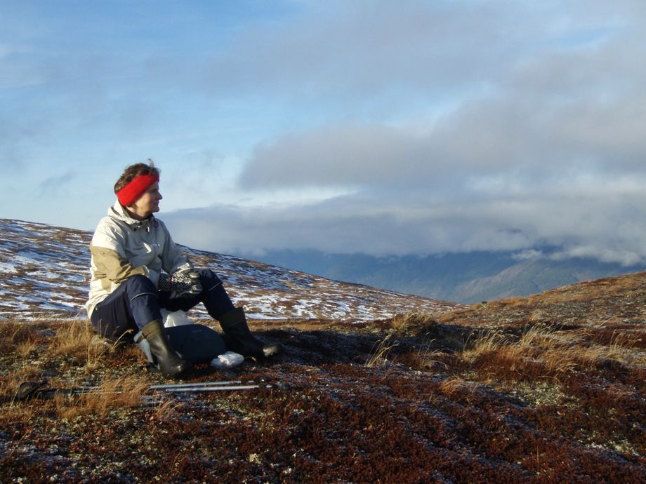 Liasethaugane (ca 969 moh) i Vik
Liasethaugane (969 meters) in Vik