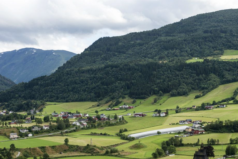 Grønt og vakkert landskap, Vik i Sogn - Green and beatuiful scenery, Vik in Sogn
Foto-