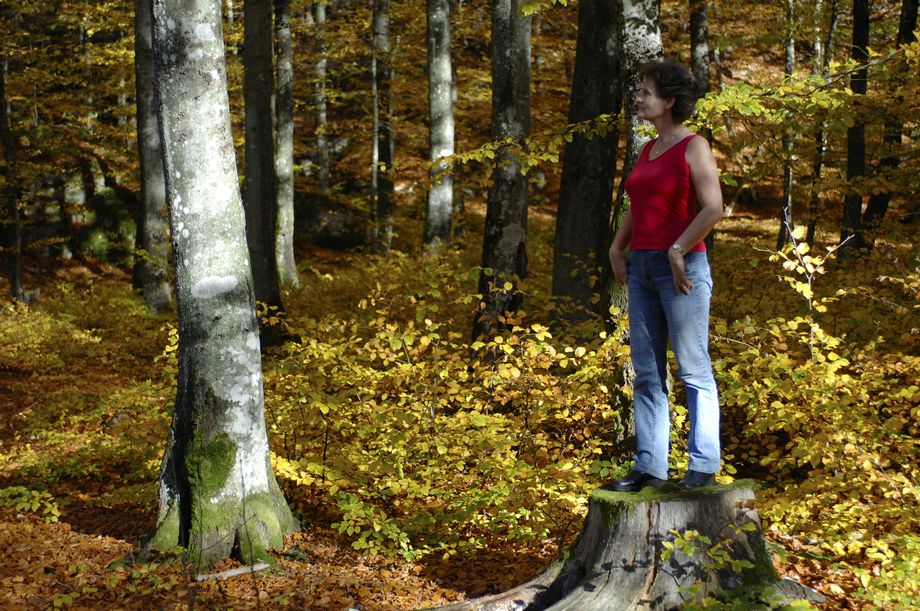 Ny, flott tretype i Sandefjord :) - New, nice kind of tree in Sandefjord :)