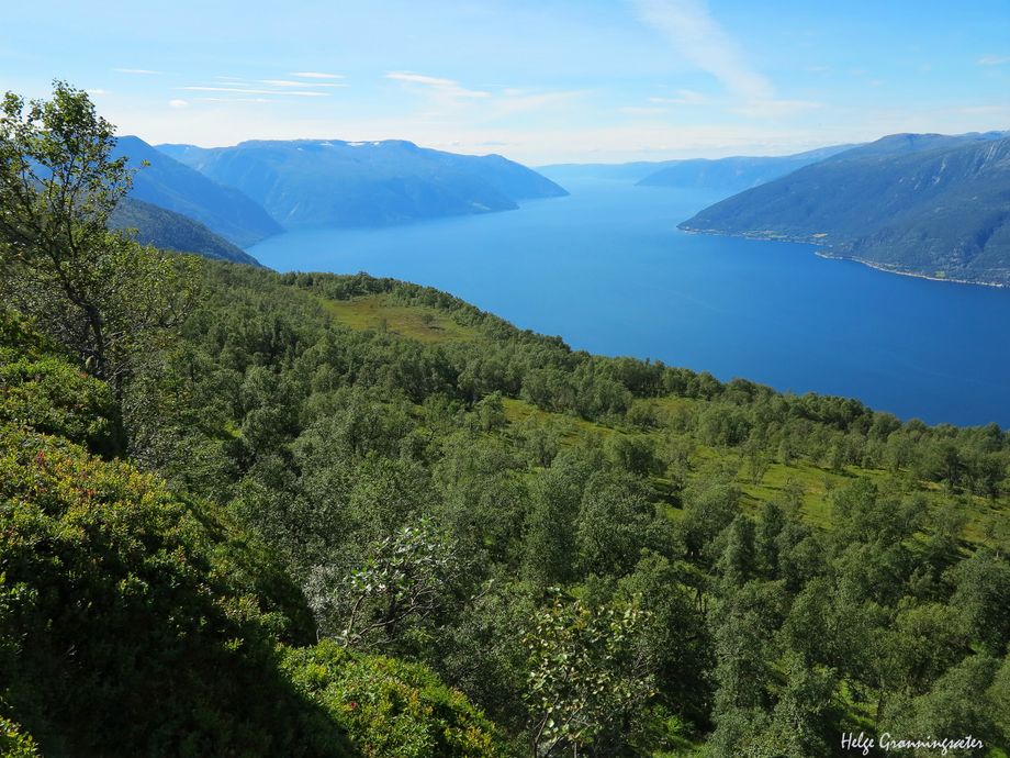 Frå Eggjakleiv (ca 650 moh) ovanfor Gunnarsete. Sognefjorden mot vest - Eggjakleiv (ca 650 meters) above Gunnarsete. View at the Sognefjord towards west