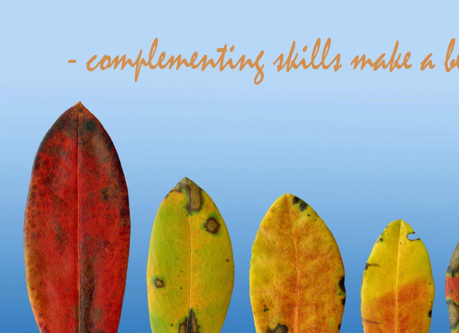 Versjon III : Utfyllande kompetanse, med engelsk tekst- Complementing skills, with english text
