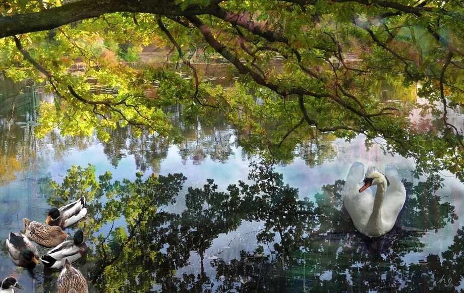 Mot haust ved dammen / Soon autumn at the pond