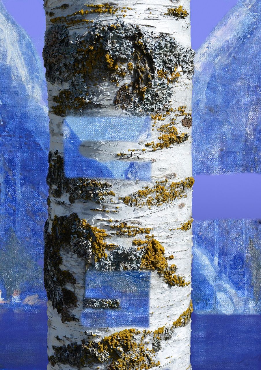 Bjørka - The birch