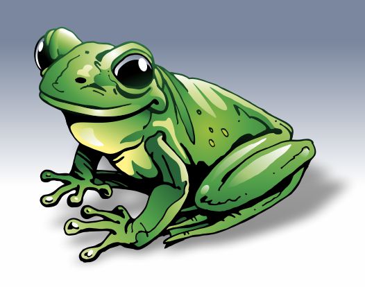 Frø