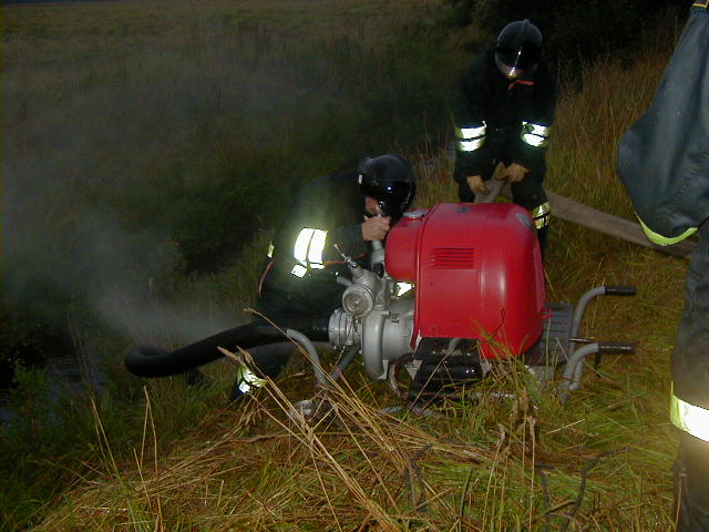 PIC00040