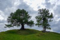 15-Rabant Alm-20140514-fertig