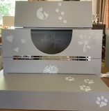IMG-3805