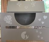 IMG-3808