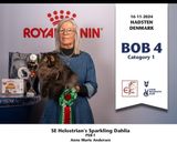 Anne Marie och Dahlia 2024-11-16