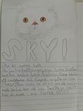 Ebba 9 år som skriver om Sky's bäbisar