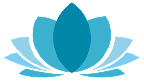 transparent logo_without_text