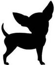 chihuahua 3