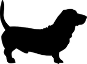 Basset hund