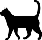 Katt 2