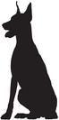 Doberman 2
