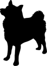 Spets