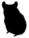 Hamster 1