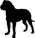 Mastiff
