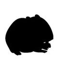 Hamster 2