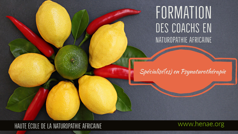 medecine naturopathique africaine