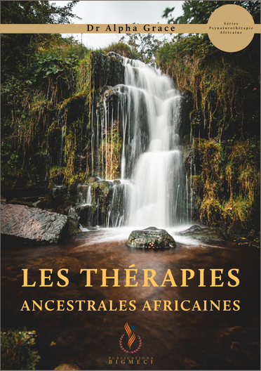 therapiesafricains