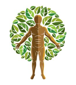 energeticien; praticien; naturopathie