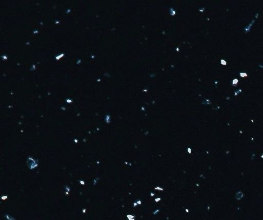 unsplash_MWGaMlETWgQ