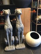 Honden, beton