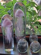 Kwal in glas