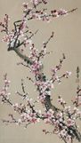 decoratief