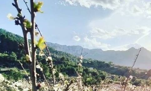 Valle de Gallinera
