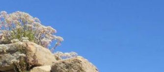 San Pedra de la Mata - foto Chris Delarivière 