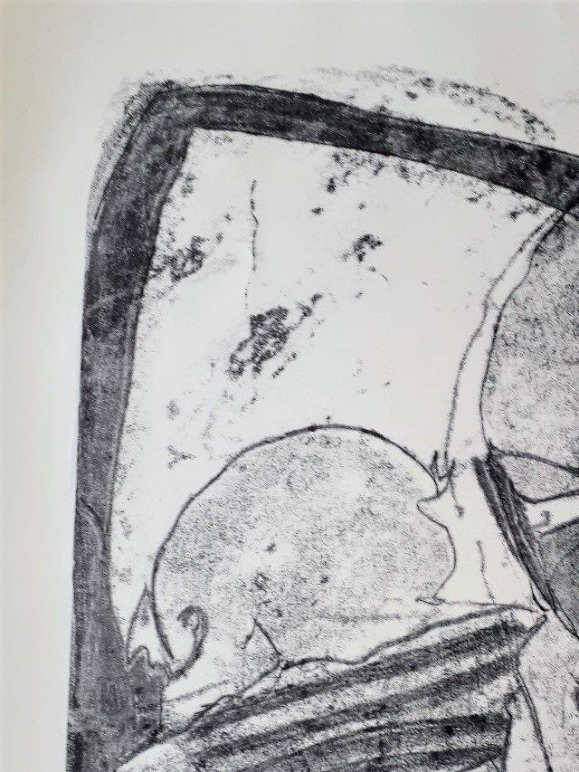 Monotype 2019