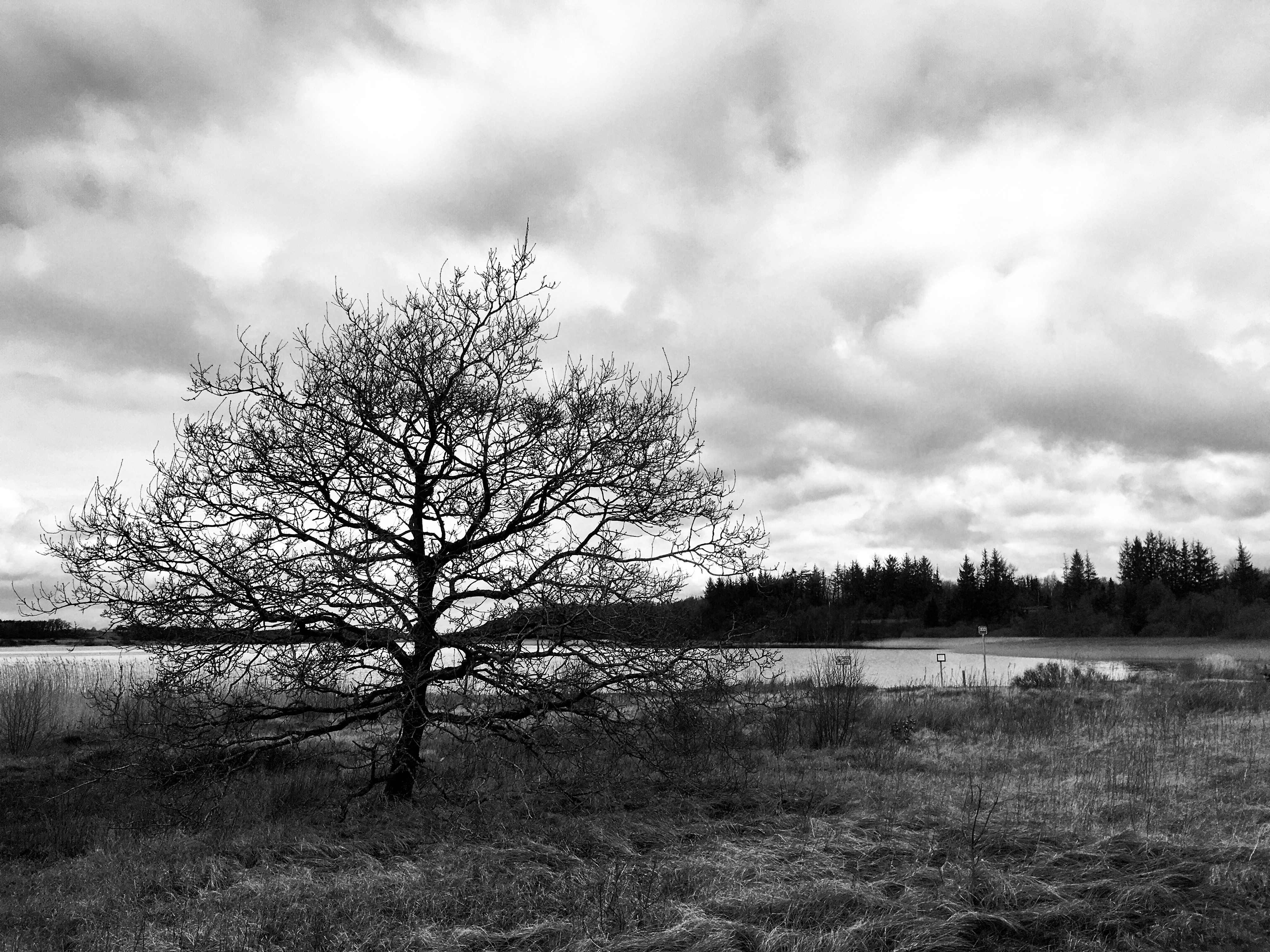 image00008