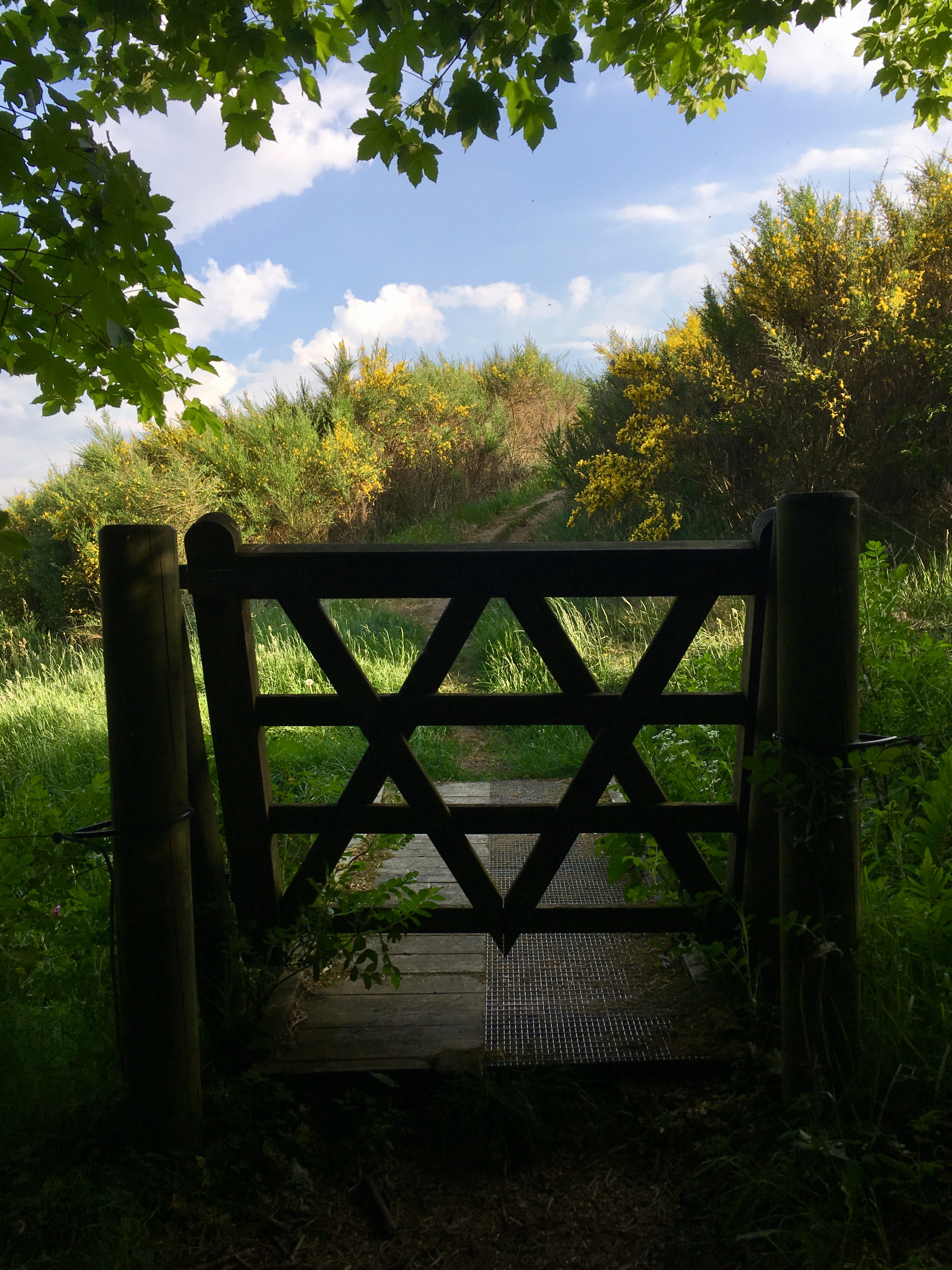 image00019