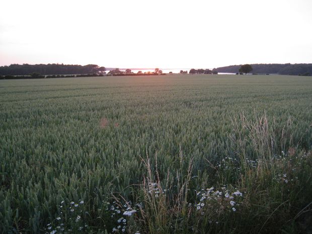 og en smuk solnedgang