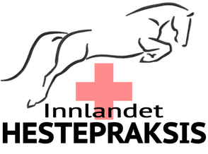 Innlandet Hestepraksis