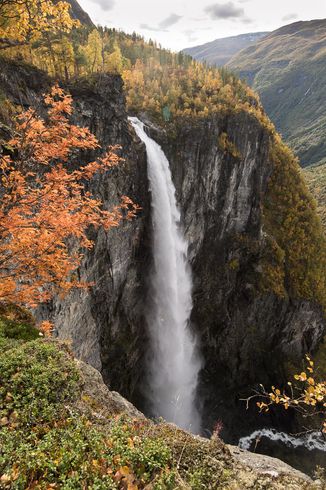_DSC02601038
