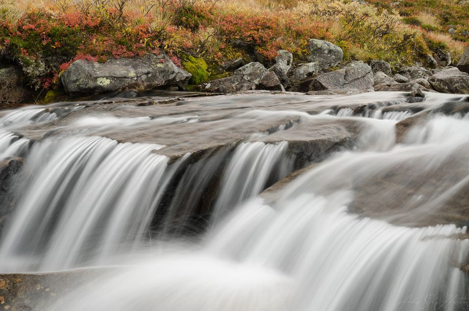 _DSC1151