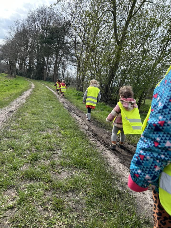 wandelen bos