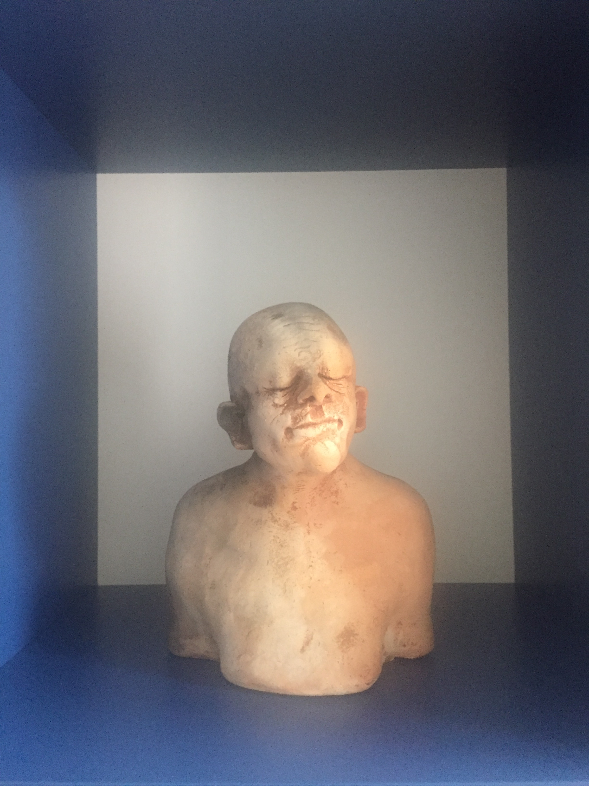 Beeld Frank Vanhooren