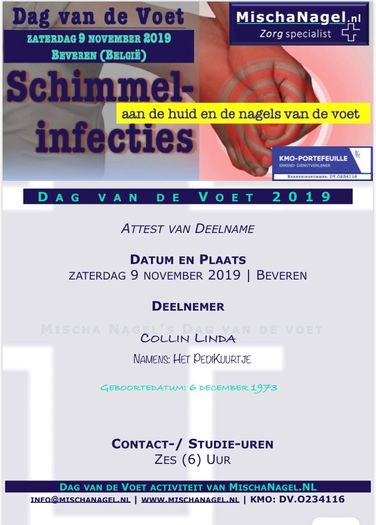 brevet schimmel