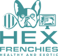 HEX - Sundere franske bulldogs