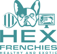 HEX - Sundere franske bulldogs