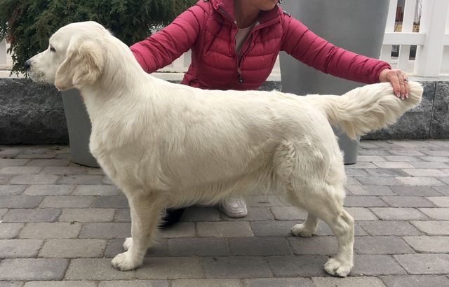 Emma 1 år