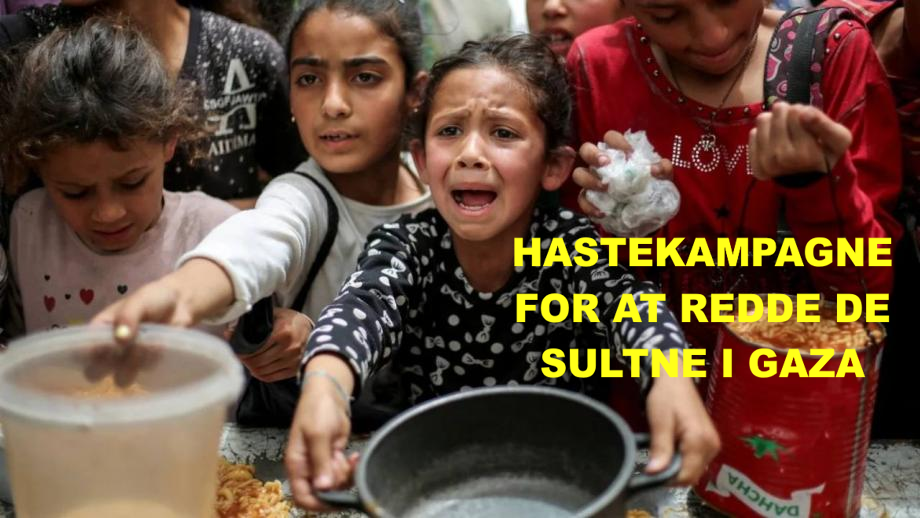 Gaza_hunger_2