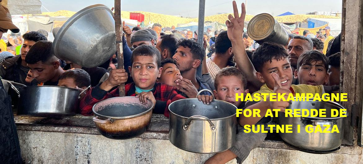Gaza_hunger_3